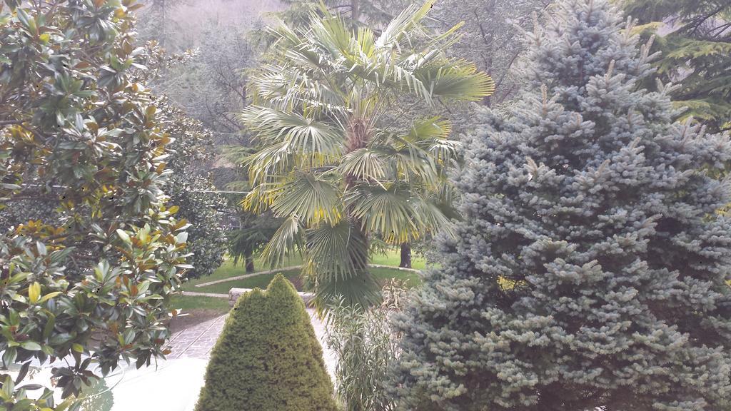 Atina Fontana Vecchia B&B 외부 사진